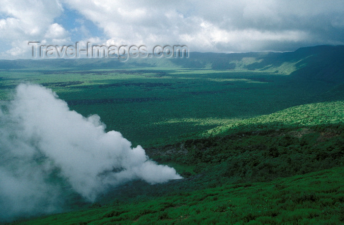 galapagos54: Isla Isabela / Albemarle island, Galapagos Islands, Ecuador: fumerole in the Alcedo Crater - view of the crater - photo by C.Lovell - (c) Travel-Images.com - Stock Photography agency - Image Bank