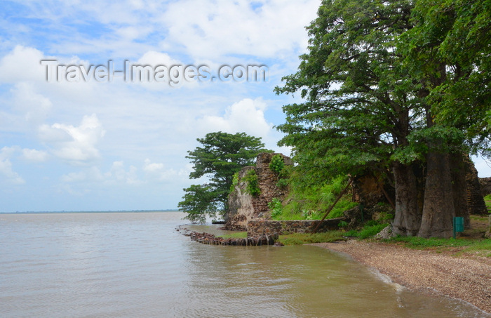 gambia103: James Island / Kunta Kinteh island, The Gambia: crumbling walls of Fort James, its foundations eroded by the river Gambia - beach with baobab trees - UNESCO world heritage site - photo by M.Torres - (c) Travel-Images.com - Stock Photography agency - Image Bank