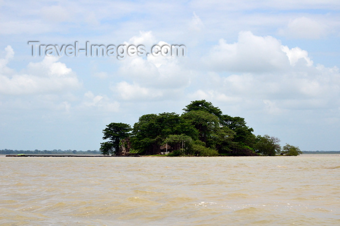 gambia108: James Island / Kunta Kinteh island, The Gambia: the island seen from the north, with Fort James mostly hidden by baobab trees - UNESCO world heritage site - photo by M.Torres - (c) Travel-Images.com - Stock Photography agency - Image Bank