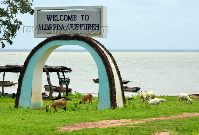 gambia87: Albreda, Gambia: goats and arch with a view of the Gambia River - Albreda / Juffureh welcome arch - photo by M.Torres - (c) Travel-Images.com - Stock Photography agency - Image Bank