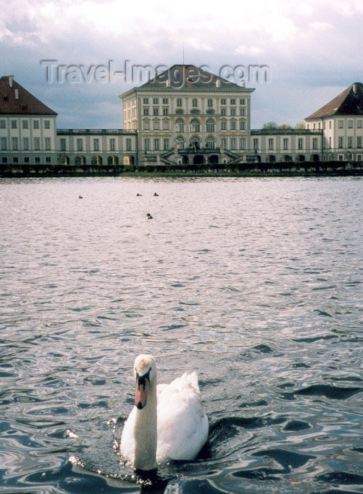 germany18: Germany - Bavaria - Munich / München / MUC : swan by the Nymphenburg palace - Schloss Nymphenburg diente den bayerischen Herrschern als Sommerresidenz (photo by M.Torres) - (c) Travel-Images.com - Stock Photography agency - Image Bank