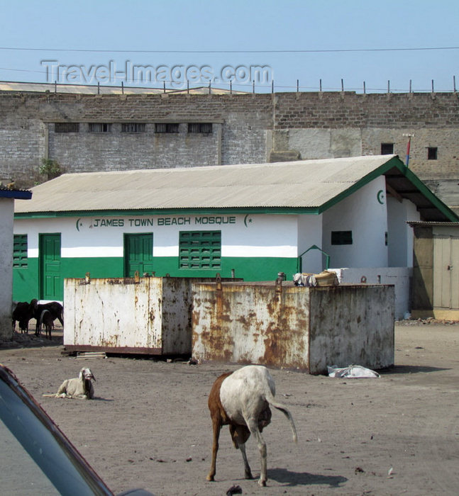 ghana5: Accra, Ghana: Jamestown district - goats and James Town Beach Mosque - photo by G.Frysinger - (c) Travel-Images.com - Stock Photography agency - Image Bank