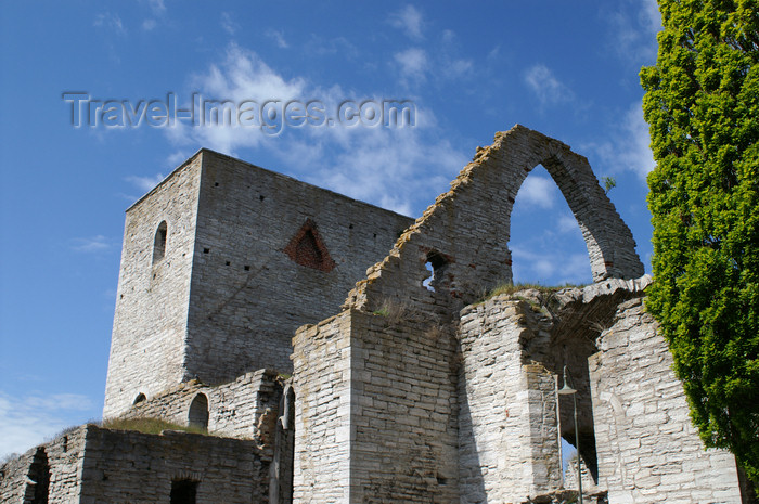 gotland108: Gotland - Visby: ruins of old church on Stora Torget, burned by the soldiers of Lübeck - photo by A.Ferrari - (c) Travel-Images.com - Stock Photography agency - Image Bank
