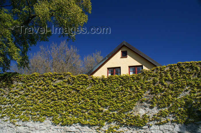 gotland80: Gotland - Visby:  wall and house top, outside Almedalen park - photo by A.Ferrari - (c) Travel-Images.com - Stock Photography agency - Image Bank