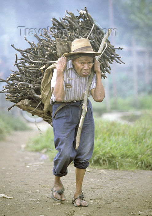 guatemala41: Guatemala - Lago de Atitlán: old man with firewood (photo by A.Walkinshaw) - (c) Travel-Images.com - Stock Photography agency - Image Bank