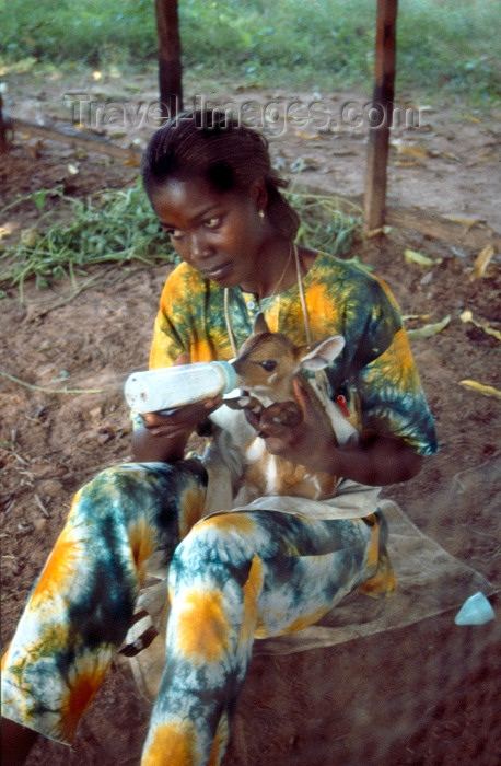 guinea-bissau10: Guinea Bissau / Guiné Bissau - Bula: rapariga a alimentar uma gazela bébé (foto de / photo by Dolores CM) - (c) Travel-Images.com - Stock Photography agency - Image Bank