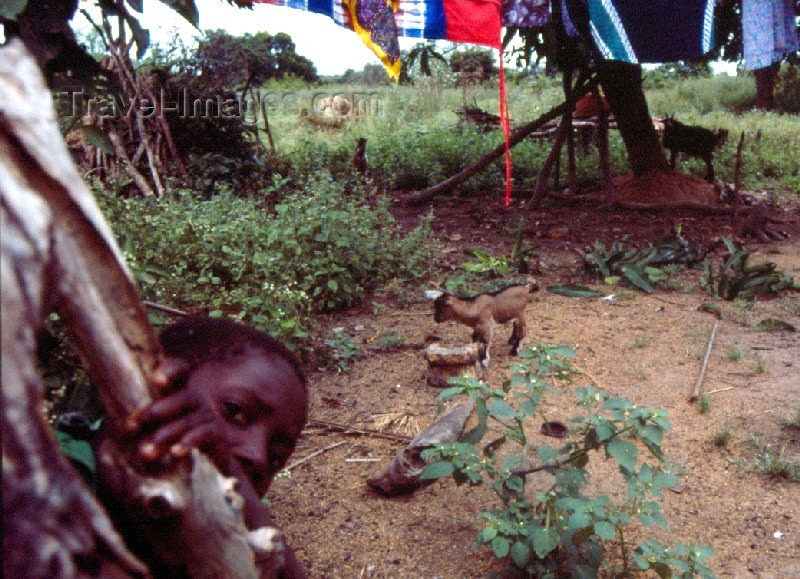 guinea-bissau14: Guinea Bissau / Guiné Bissau - Tabanka life: boy playing hide and seek / rapaz a brincar às escondidas (foto de / photo by Dolores CM) - (c) Travel-Images.com - Stock Photography agency - Image Bank