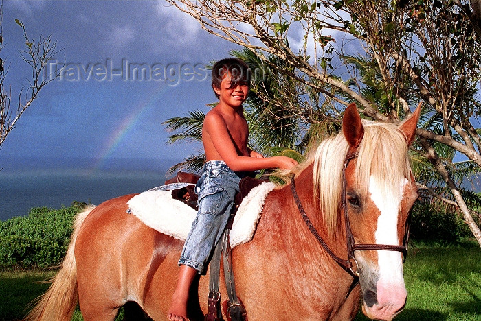 hawaii74: Hawaii - Maui island: horse and rainbow - Photo by G.Friedman - (c) Travel-Images.com - Stock Photography agency - Image Bank
