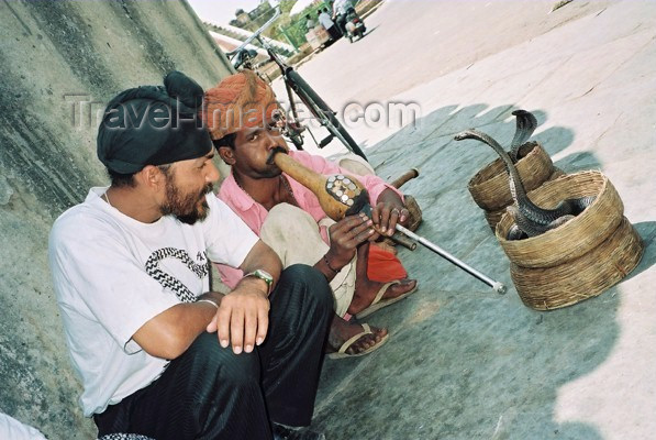 india205: India - Jaipur (Rajastan): snake charmer - photo by J.Kaman - (c) Travel-Images.com - Stock Photography agency - Image Bank