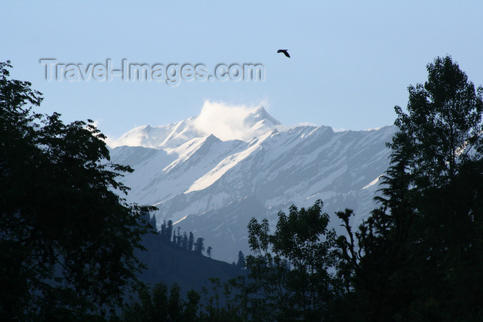india400: India - Manali (Himachal Pradesh, Himalayas): mountain view - photo by M.Wright - (c) Travel-Images.com - Stock Photography agency - Image Bank