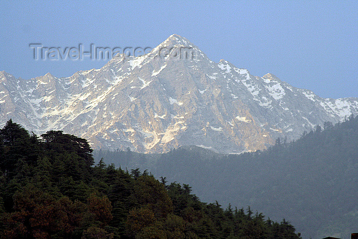 india403: IIndia - Manali (Himachal Pradesh, Himalayas): Mcloud Gang - peak - photo by M.Wright - (c) Travel-Images.com - Stock Photography agency - Image Bank