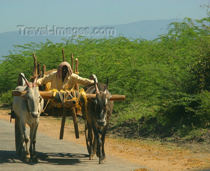 india434: rural Karnataka, India: a farmer and his ox cart - photo by J.Cave - (c) Travel-Images.com - Stock Photography agency - Image Bank