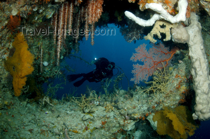 indonesia50: Wakatobi archipelago, Tukangbesi Islands, South East Sulawesi, Indonesia: diver in cavern of soft corals - Banda Sea - Wallacea - photo by D.Stephens - (c) Travel-Images.com - Stock Photography agency - Image Bank