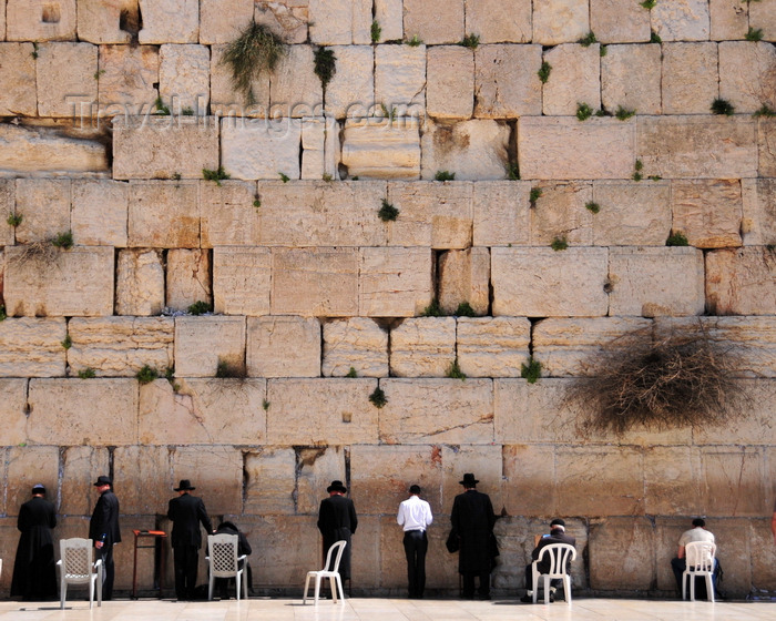 israel103: Jerusalem,  Israel: Wailing wall - men pray facind the stones laid by Herod's masons, now the Holiest of Holy Places - Western Wall / the Kotel - muro das lamentações - Mur des Lamentations - Klagemauer - photo by M.Torres - (c) Travel-Images.com - Stock Photography agency - Image Bank
