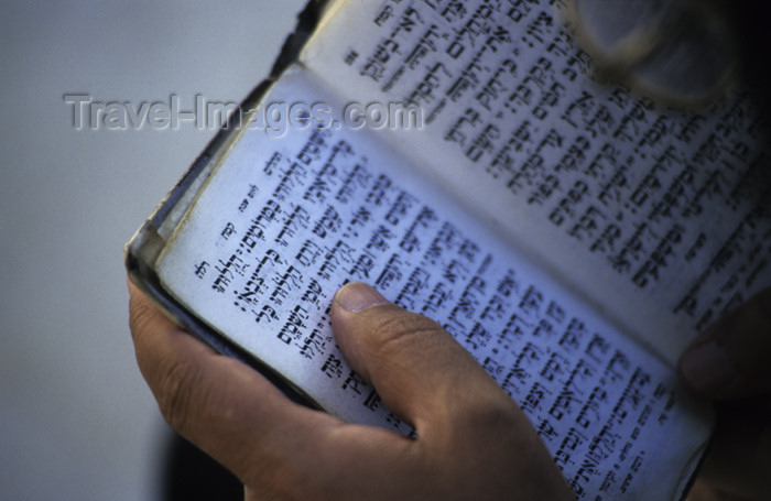 israel113: Israel - Jerusalem - reading the Torah - photo by Walter G. Allgöwer - (c) Travel-Images.com - Stock Photography agency - Image Bank