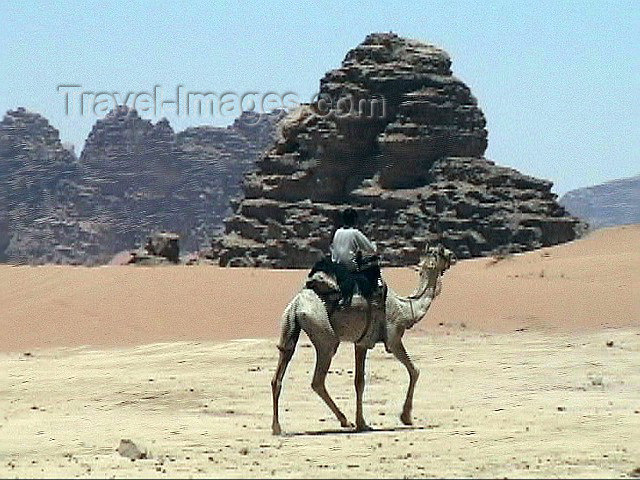 jordan9: Jordan - Wadi Rum: a bedouin on his camel - photo by A.Slobodianik - (c) Travel-Images.com - Stock Photography agency - Image Bank