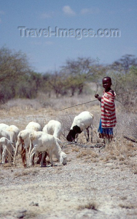 kenya47: Kenya - Olorgesailie: young shepherd (photo by F.Rigaud) - (c) Travel-Images.com - Stock Photography agency - Image Bank