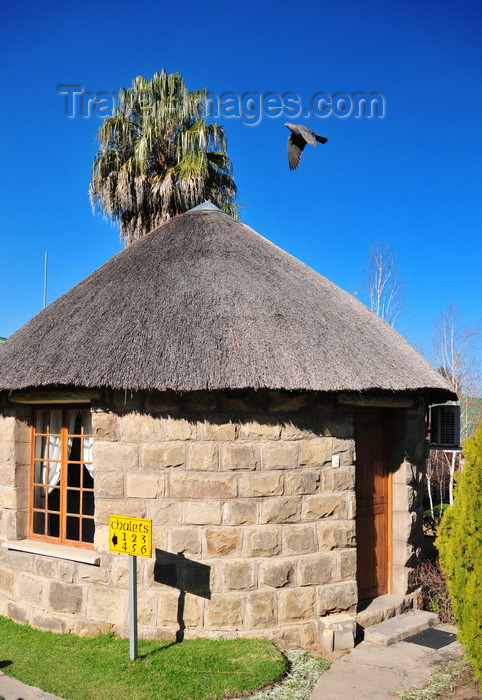 lesotho1: Maseru, Lesotho: Lancer's Inn - sandstone, wood and thatch roundavel chalet - Pioneer Road - pigeon in flight - photo by M.Torres - (c) Travel-Images.com - Stock Photography agency - Image Bank