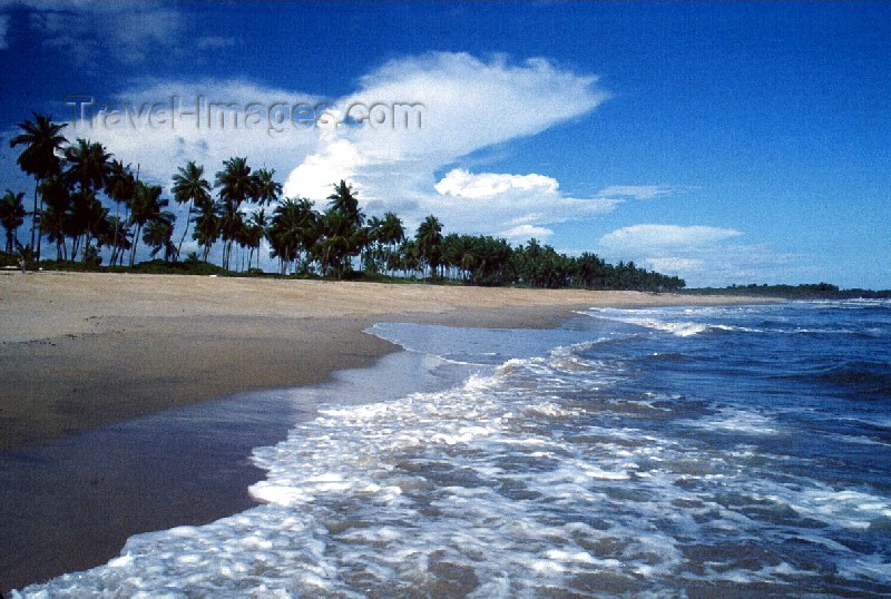 liberia20: Grand Bassa County, Liberia, West Africa: on the beach - coconut trees and white sand - tropical beach - photo by M.Sturges - (c) Travel-Images.com - Stock Photography agency - Image Bank