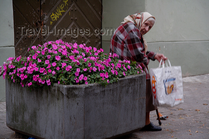 lithuania178: Lithuania - Vilnius: old lady and flower pot - old town - photo by Sandia - (c) Travel-Images.com - Stock Photography agency - Image Bank