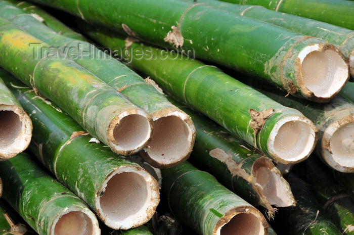 madagascar153: Soanierana Ivongo, Analanjirofo, Toamasina Province, Madagascar: bamboo at a construction site - traditional building material - photo by M.Torres - (c) Travel-Images.com - Stock Photography agency - Image Bank