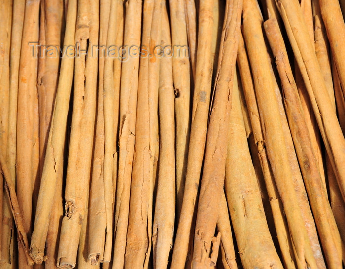 madagascar168: RN2, Atsinanana region, Toamasina Province, Madagascar: cinnamon quills drying - bark of Cinnamomum verum - photo by M.Torres - (c) Travel-Images.com - Stock Photography agency - Image Bank