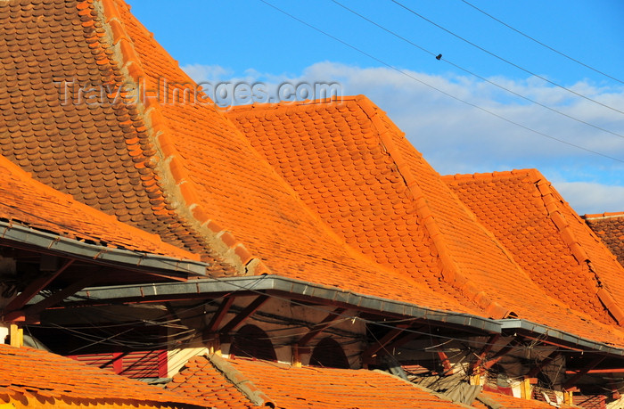 madagascar3: Antananarivo, Madagascar: roofs of the pavilions at Analakely Market in central Tana - red roof shingles - photo by M.Torres - (c) Travel-Images.com - Stock Photography agency - Image Bank