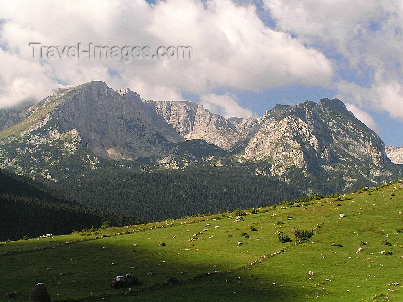 montenegro134: Montenegro - Crna Gora - Durmitor national park: mountain crests - photo by J.Kaman - (c) Travel-Images.com - Stock Photography agency - Image Bank