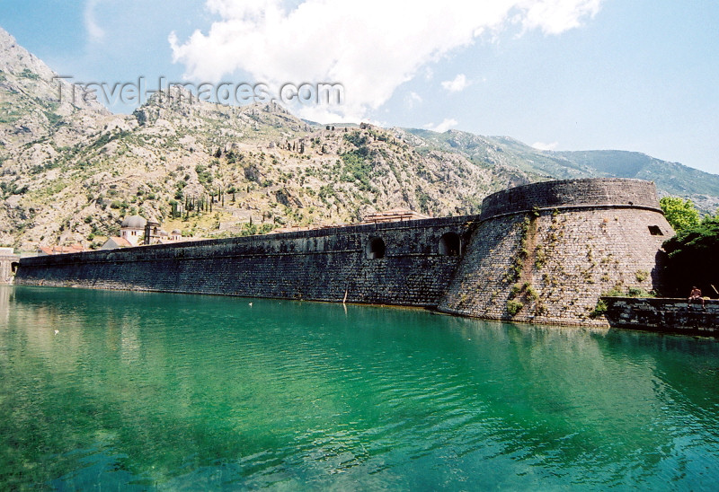 montenegro5: Montenegro - Crna Gora - Kotor: in the moat - photo by M.Torres - (c) Travel-Images.com - Stock Photography agency - Image Bank