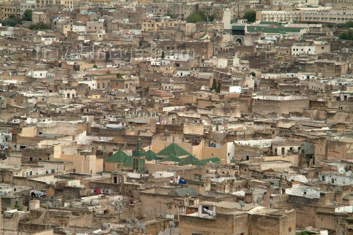 moroc340: Morocco / Maroc - Fez: the Medina from above - photo by J.Banks - (c) Travel-Images.com - Stock Photography agency - Image Bank