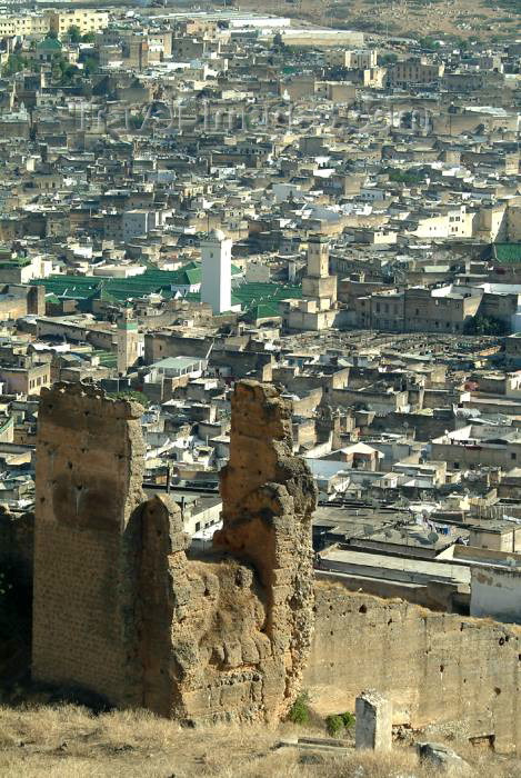 moroc341: Morocco / Maroc - Fez: from the hills - from above - photo by J.Banks - (c) Travel-Images.com - Stock Photography agency - Image Bank