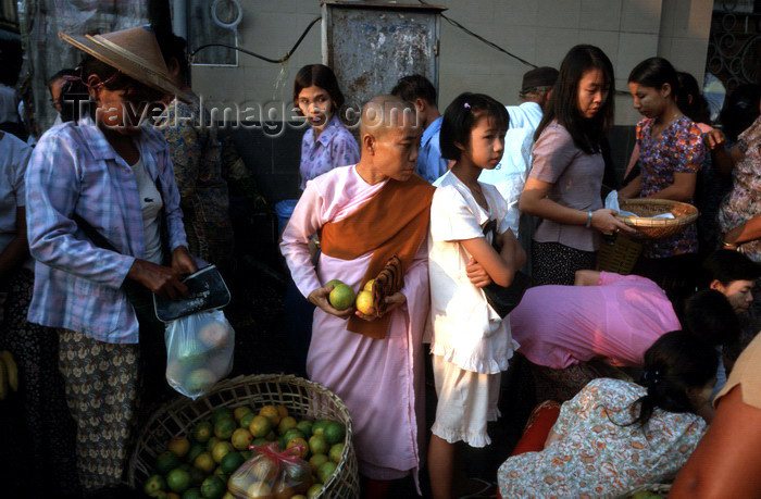 myanmar21: Myanmar - Yangon: nun shopping in the market - photo by W.Allgöwer - Buddhistische Nonne kauft auf einem Markt in Yangon ein. Die große Verehrung, die den buddhistischen Mönchen entgegen gebracht wird, gilt weniger der Person selbst als viel mehr dem Resp - (c) Travel-Images.com - Stock Photography agency - Image Bank