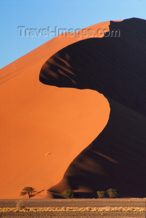 namibia173: Namib Desert - Sossusvlei, Hardap region, Namibia, Africa: S shaped sand duneat sunrise - photo by B.Cain - (c) Travel-Images.com - Stock Photography agency - Image Bank