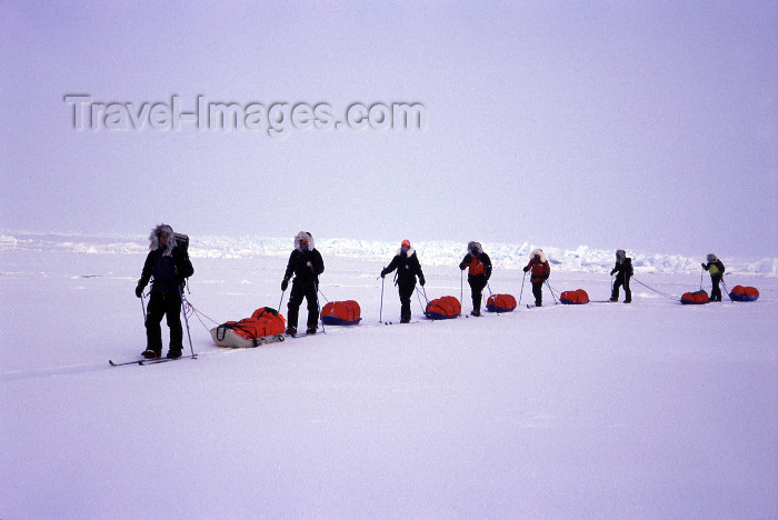north-pole6: Arctic Ocean: team skis north to the Pole towing sleds - line of skiers - Polar expedition (photo by Eric Philips) - (c) Travel-Images.com - Stock Photography agency - Image Bank