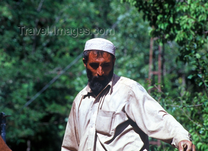 pakistan58: Pakistan -  Murree Hills/Margalla Hills: Man carrying contruction material - photo by R.Zafar - (c) Travel-Images.com - Stock Photography agency - Image Bank