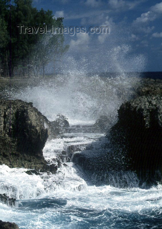 palau2: Anguar island, Palau: rocks on the north coast - photo by M.Sturges - (c) Travel-Images.com - Stock Photography agency - Image Bank