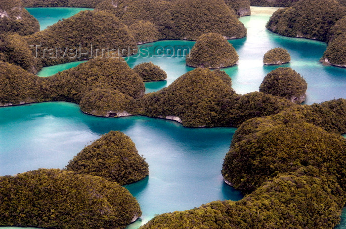 palau9: Rock Islands / Chelbacheb, Koror state, Palau / Belau: aerial view - blue lagoons and ancient coral reefs swathed in thick vegetation - photo by B.Cain - (c) Travel-Images.com - Stock Photography agency - Image Bank