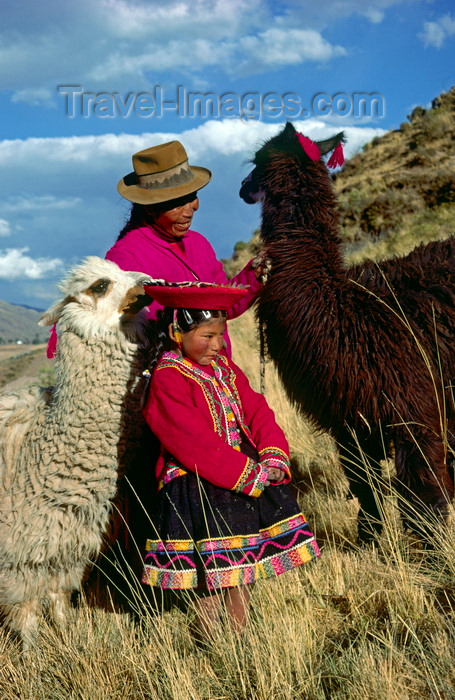 peru137: Cuzco region, Peru: Quechua girl with her grandmother and llamas- bucolic scene - Peruvian Andes - photo by C.Lovell - (c) Travel-Images.com - Stock Photography agency - Image Bank