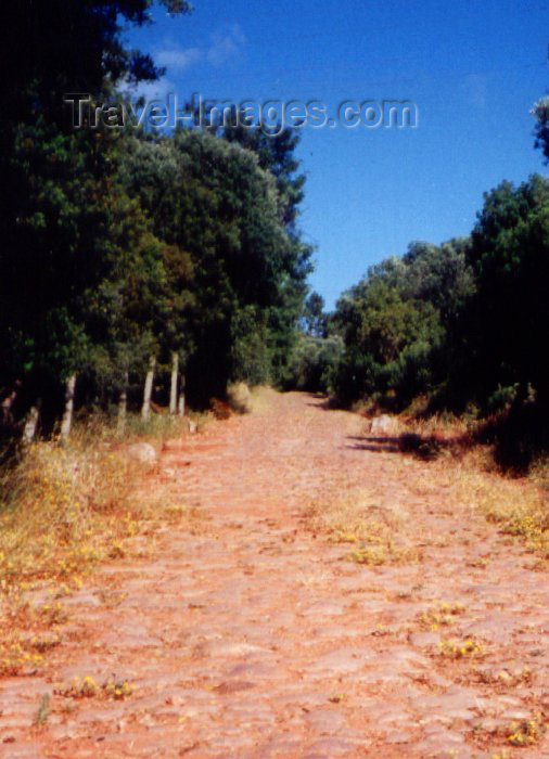 portugal117: Portugal - Setúbal: Roman road / estrada Romana - photo by M.Durruti - (c) Travel-Images.com - Stock Photography agency - Image Bank