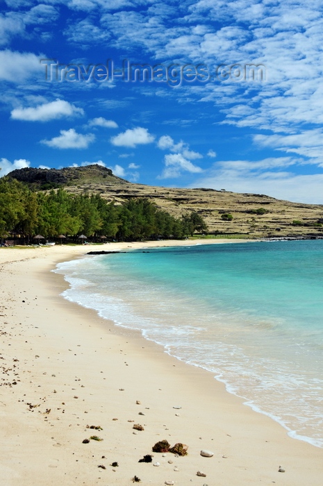 rodrigues35: Pointe Coton beach, Rodrigues island, Mauritius: a tranquil bay lined by shade trees - photo by M.Torres - (c) Travel-Images.com - Stock Photography agency - Image Bank