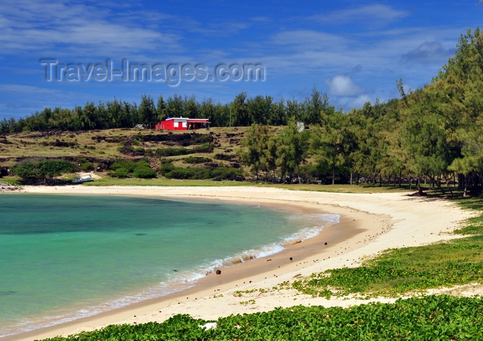 rodrigues43: Baie de l'Est, Saint François Beach, Rodrigues island, Mauritius: small bay with emerald water, lined by casuarina trees - Eastern bay - photo by M.Torres - (c) Travel-Images.com - Stock Photography agency - Image Bank