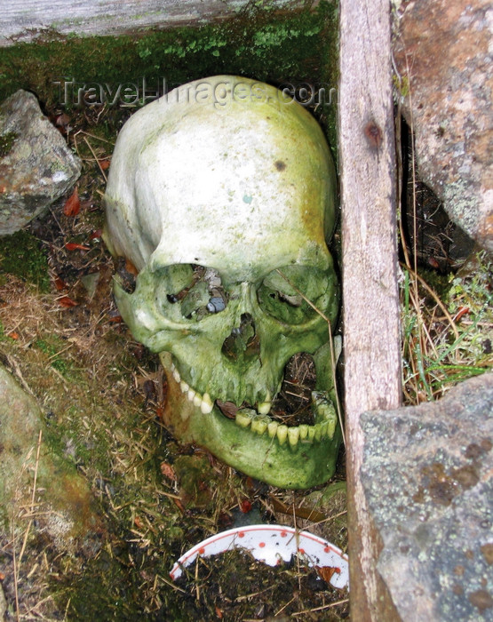 russia748: Wrangel Island / ostrov Vrangelya, Chukotka AOk, Russia: human skull - old bones on the ground - photo by R.Eime - (c) Travel-Images.com - Stock Photography agency - Image Bank