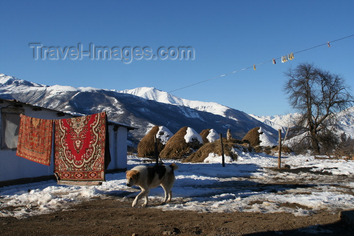 russia796: Chechnya, Russia - landscape in winter with mountains, traditional carpets, haystacks and dog - photo by A.Bley - (c) Travel-Images.com - Stock Photography agency - Image Bank