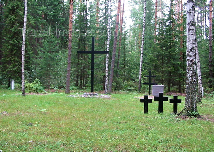russia99: Russia - Meshera Forest  - Moscow oblast: crosses - graves of WWII Hungarian soldiers (photo by D.Ediev) - (c) Travel-Images.com - Stock Photography agency - Image Bank