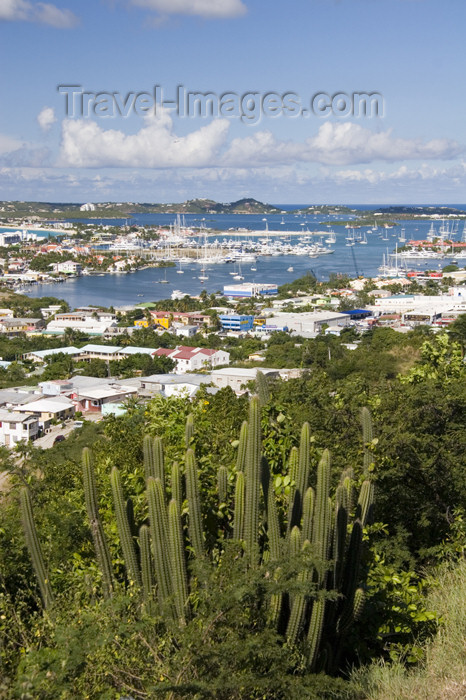 saint-martin9: Sint-Maarten - Simpson bay lagoon: from the hills, with cactus in the foreground - photo by D.Smith - (c) Travel-Images.com - Stock Photography agency - Image Bank