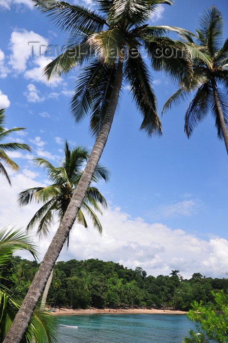sao-tome109: Santana, Cantagalo district, São Tomé and Prícipe / STP: coconut trees over Santana cove / coqueiros sobre a enseada de Santana - photo by M.Torres - (c) Travel-Images.com - Stock Photography agency - Image Bank