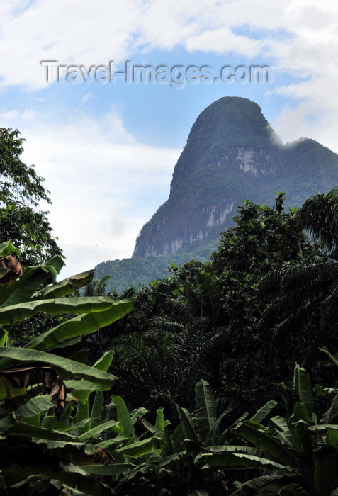 sao-tome68: Maria Fernandes peak / pico Maria Fernandes, Caué district, São Tomé and Prícipe / STP: mountain and rain forest - local superstition warns against pointing at the peak, or rain will come - phonolitic rock tower - Holocene basalt / montanha e floresta - photo by M.Torres - (c) Travel-Images.com - Stock Photography agency - Image Bank