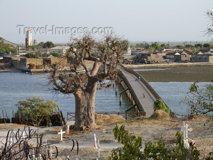 senegal103: Senegal - Joal-Fadiouth: shell village- view of the town from cemetery hill - baobab - photo by G.Frysinger - (c) Travel-Images.com - Stock Photography agency - Image Bank
