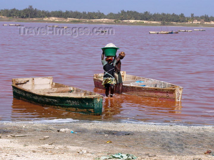 senegal15: Senegal - Lake Retba or Lake Rose:  bringing the salt onto the shore - photo by G.Frysinger - (c) Travel-Images.com - Stock Photography agency - Image Bank