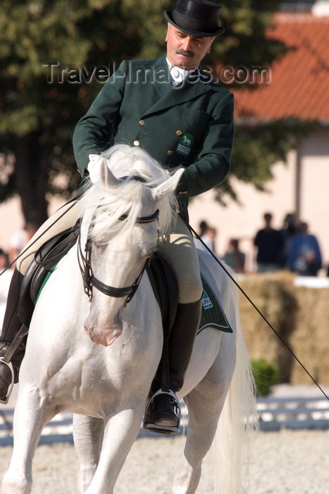 slovenia149: Slovenia - Lipica / Lipizza - Goriska region: Lipica stud farm - dressage competitor and a pure white Lipizzaner hors - extended trot - photo by I.Middleton - (c) Travel-Images.com - Stock Photography agency - Image Bank